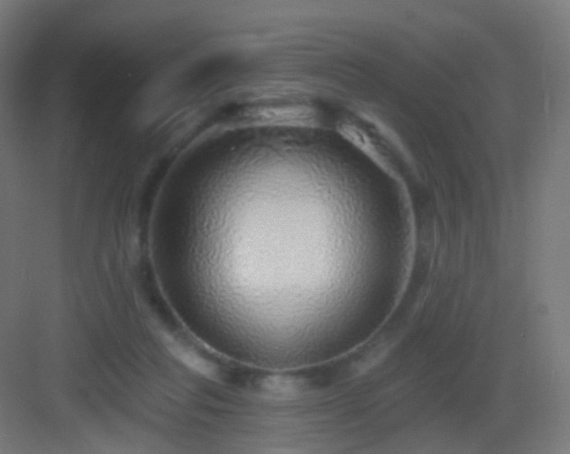 X0000083550261200702091106