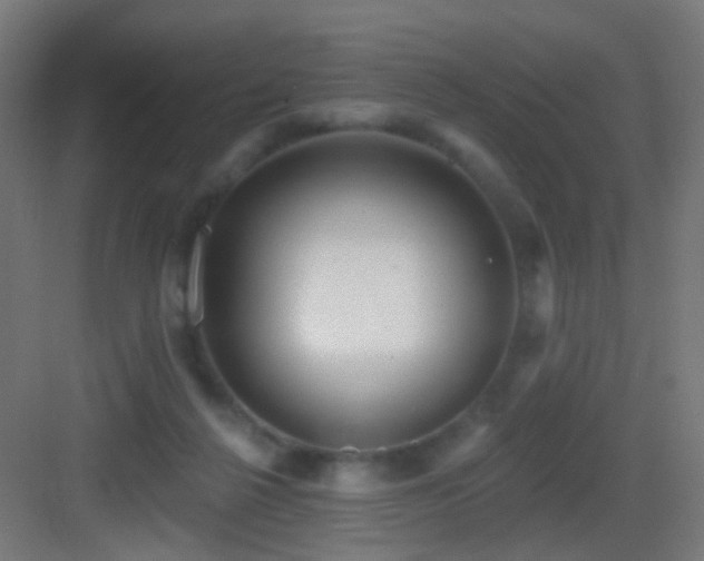 X0000083550264200702091106