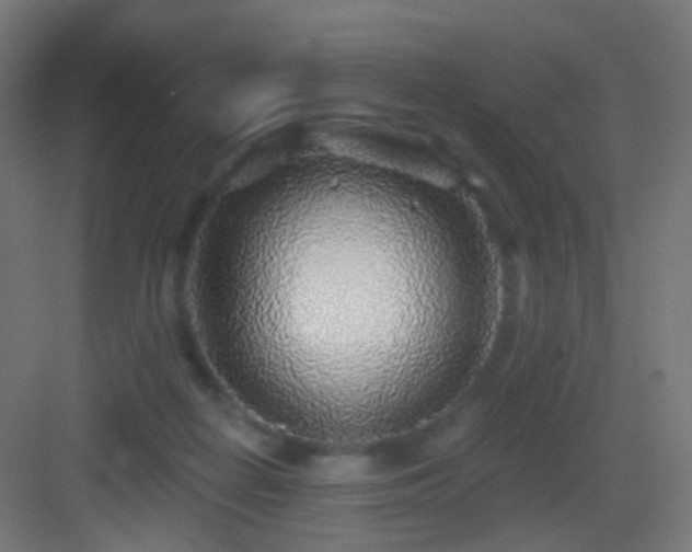 X0000083550266200702091106