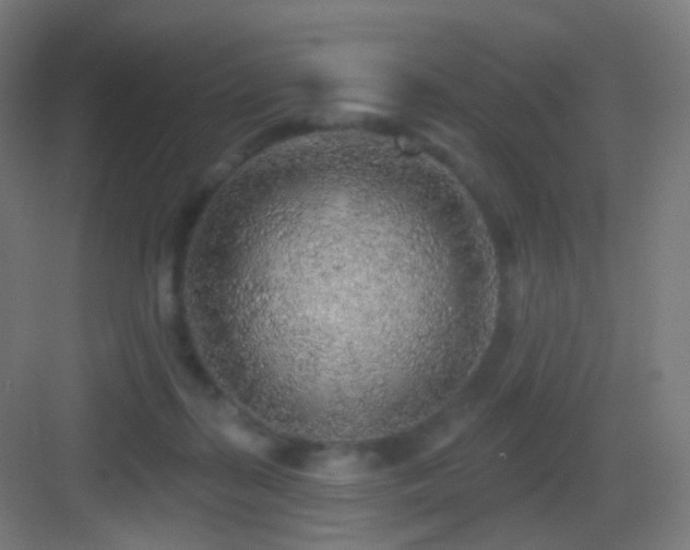 X0000083550267200702091106
