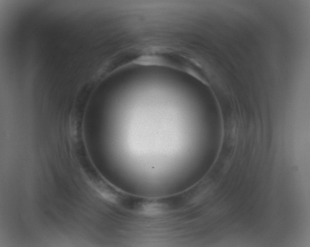 X0000083550268200702091106