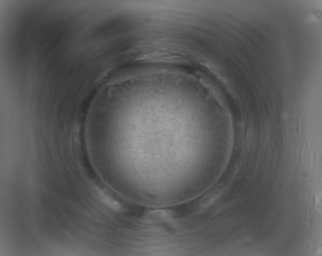 X0000083550269200702091106