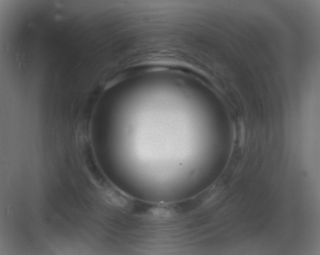 X0000083550272200702091106
