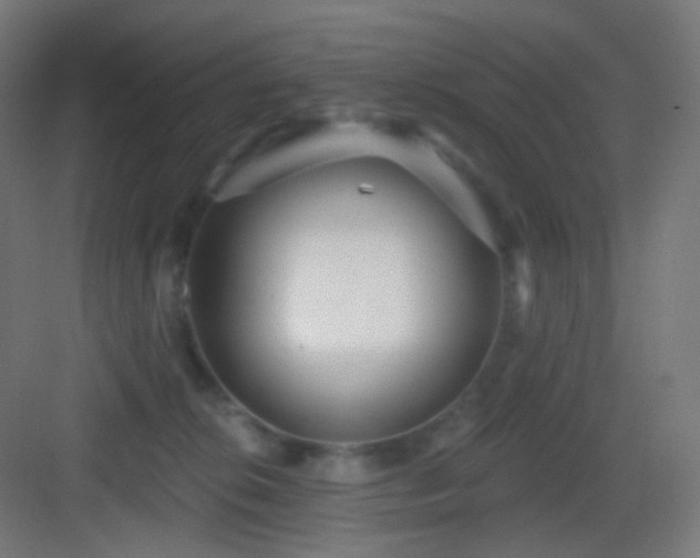 X0000083550276200702091106