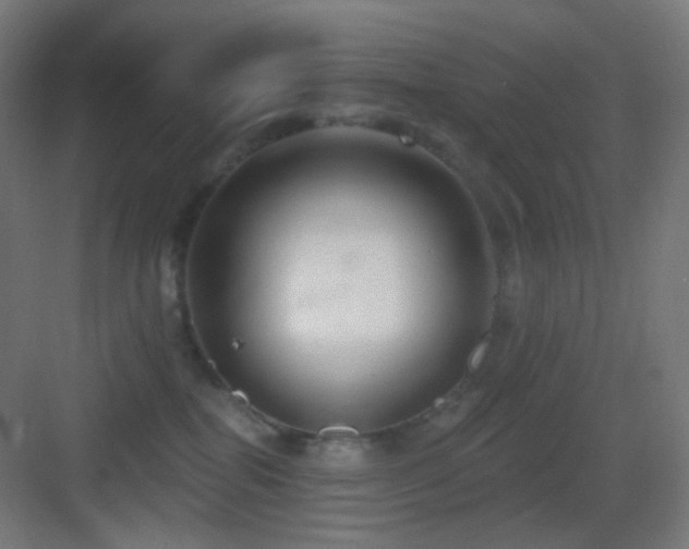 X0000083550282200702091106