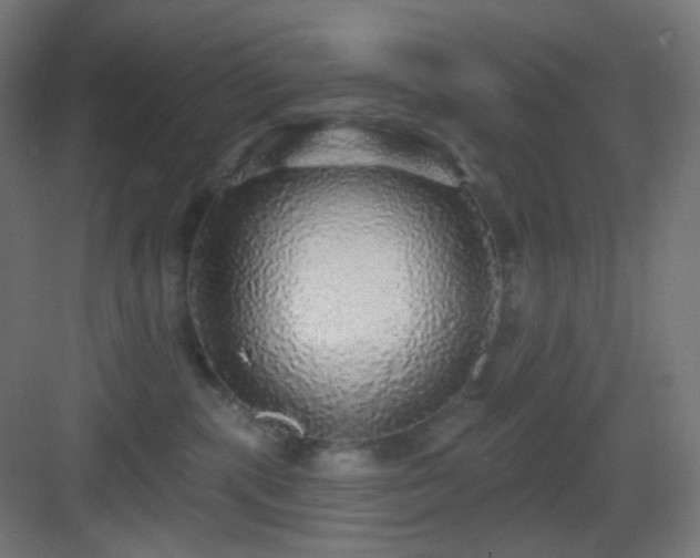 X0000083550283200702091106