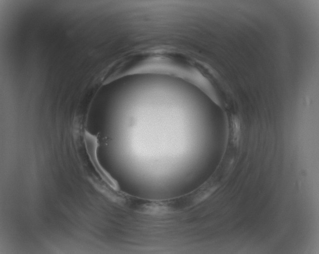 X0000083550284200702091106
