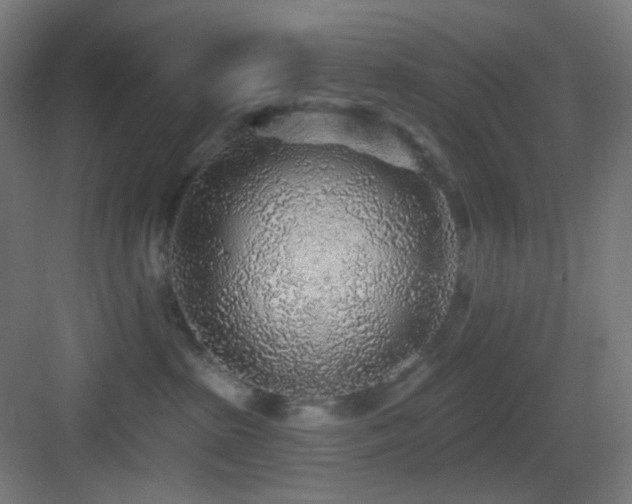 X0000083550285200702091106