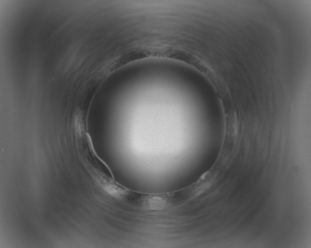 X0000083550287200702091106