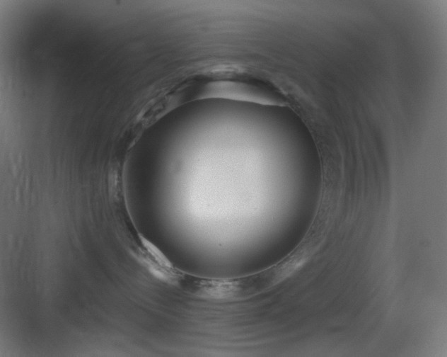 X0000083550288200702091106
