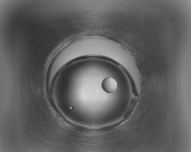 X0000083550293200702091106