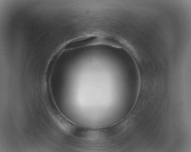 X0000083550298200702091106