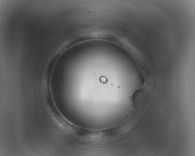 X0000083550306200702091105