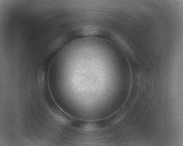 X0000083550308200702091105