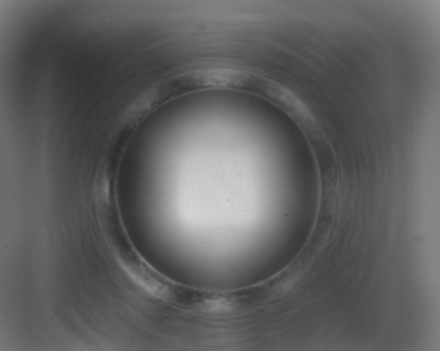 X0000083550310200702091105