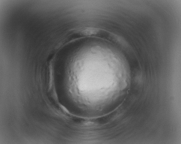 X0000083550315200702091105