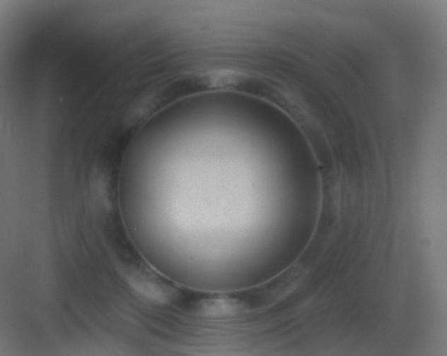 X0000083550316200702091105