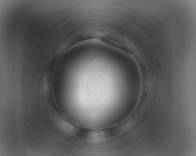 X0000083550317200702091105