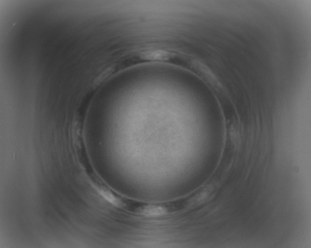 X0000083550322200702091105