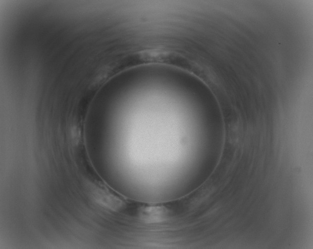 X0000083550324200702091105