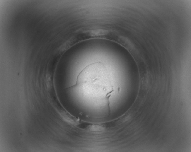 X0000083550327200702091105