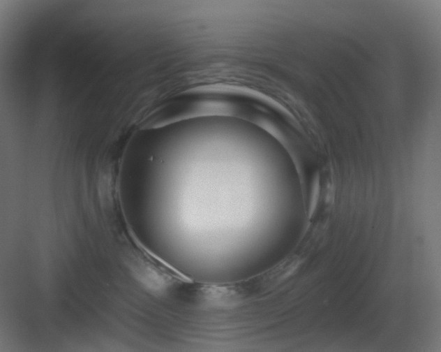 X0000083550333200702091105