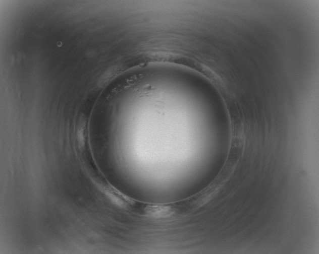 X0000083550334200702091105