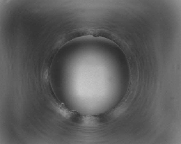 X0000083550336200702091105