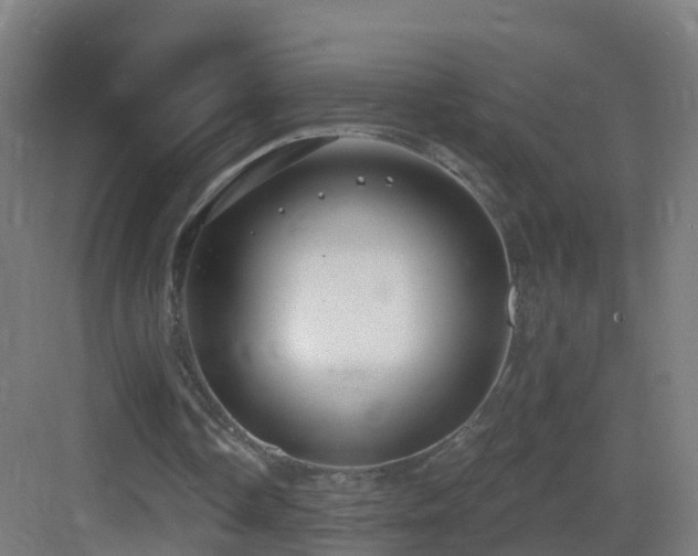 X0000083550338200702091104