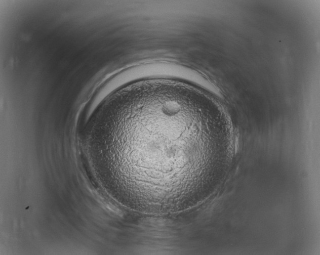 X0000083550339200702091104