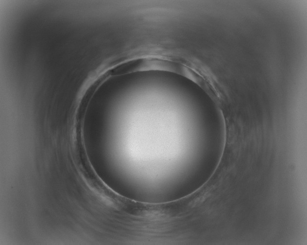 X0000083550344200702091104