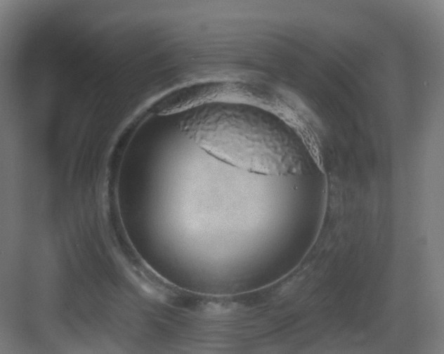 X0000083550346200702091104