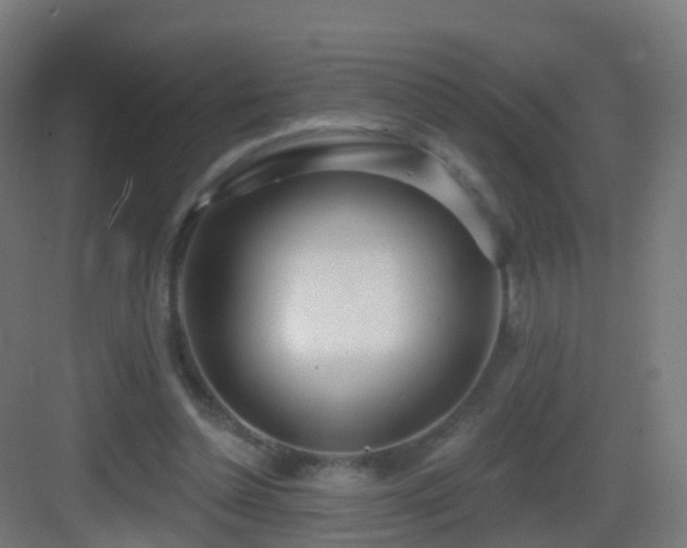 X0000083550348200702091104