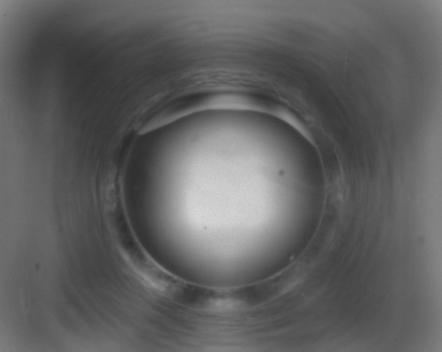 X0000083550360200702091104