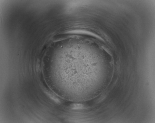 X0000083550361200702091104