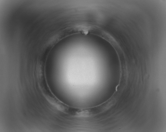X0000083550362200702091104