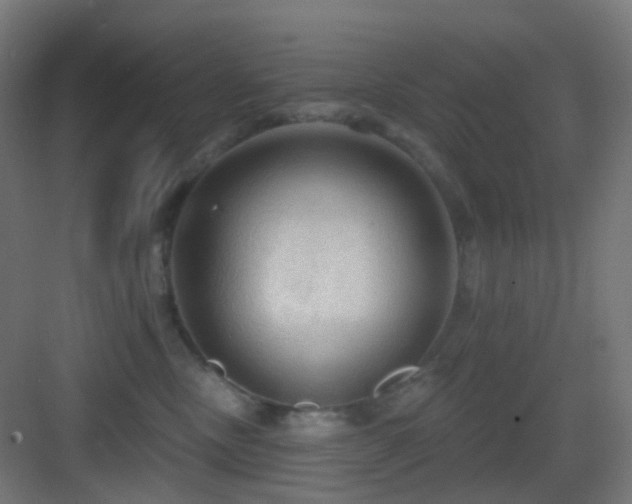 X0000083550378200702091105
