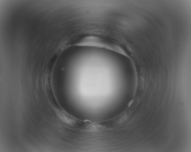 X0000083550379200702091105