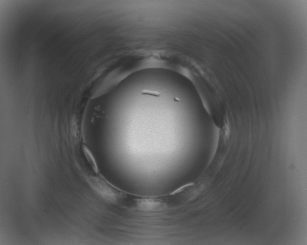 X0000083550380200702091105