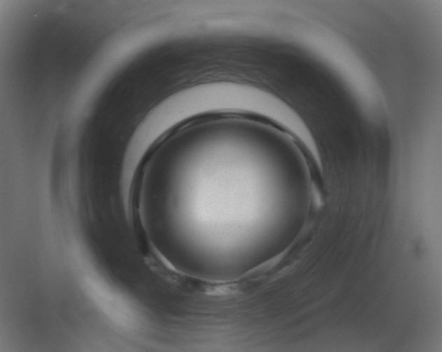 X0000083550382200702091105