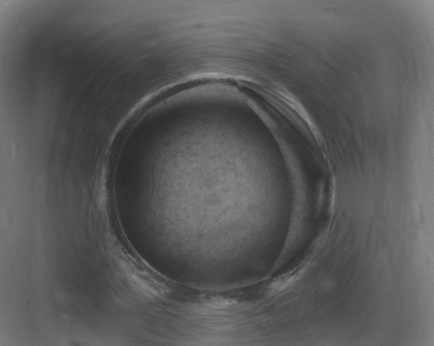 X0000083550387200702091104