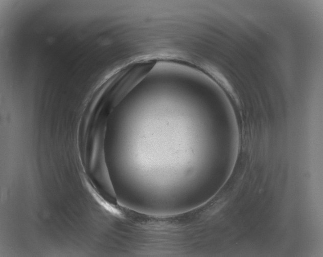 X0000083550389200702091104