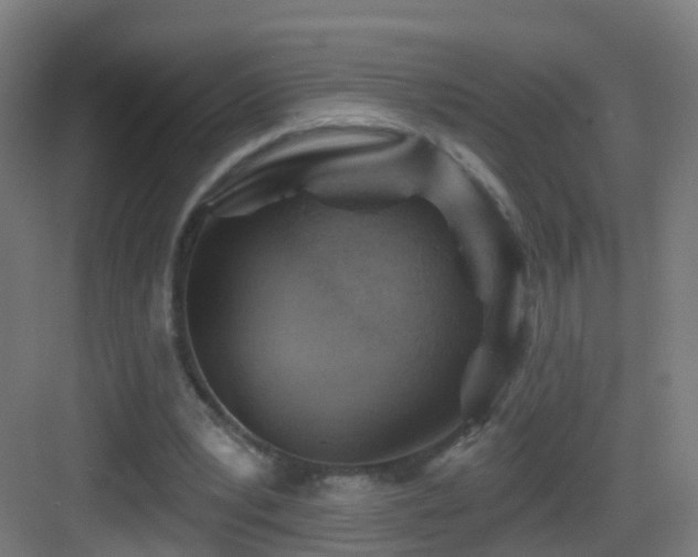 X0000083550391200702091104