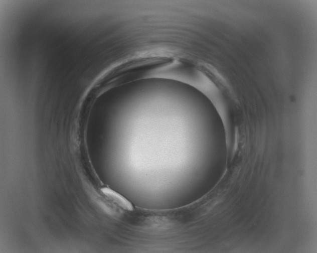X0000083550392200702091104