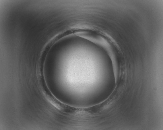 X0000083550399200702091104