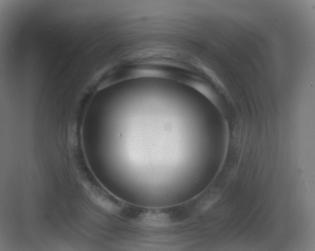 X0000083550403200702091104