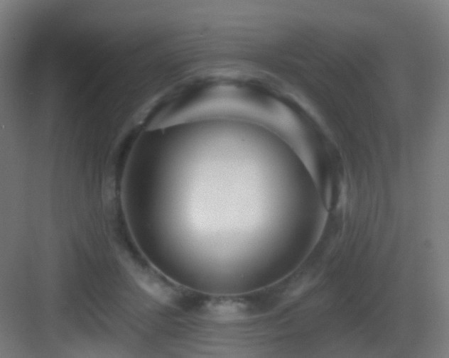 X0000083550407200702091104