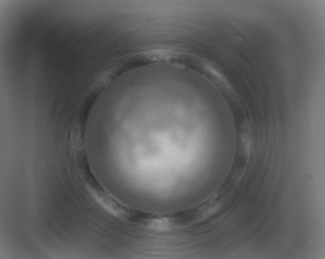 X0000083550411200702091104