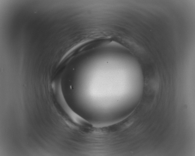 X0000083550416200702091104