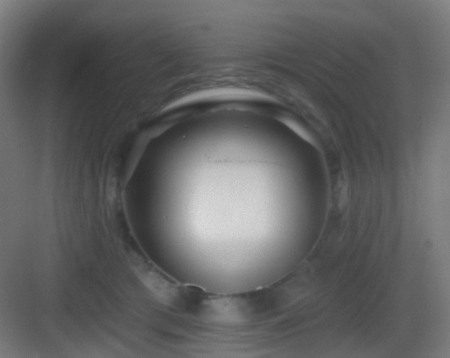 X0000083550417200702091104